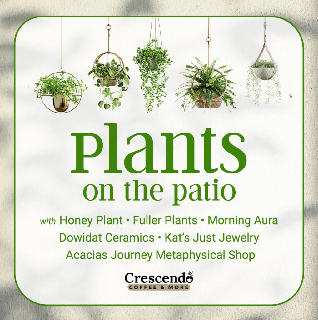 Plants on the Patio