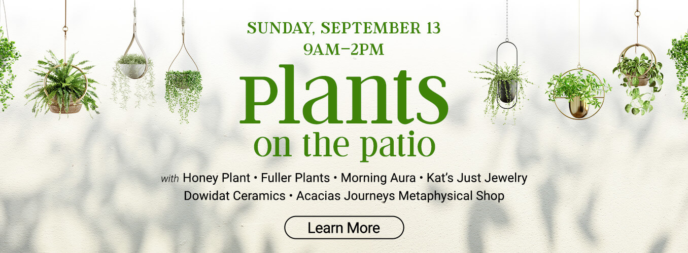 Plants on the Patio